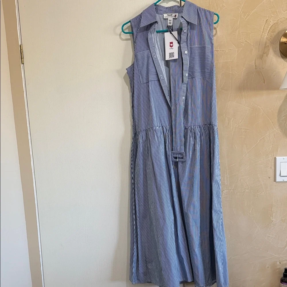 Tulip Creations Drop Waist Striped Blue Sleeveless Dress - Picture 3 of 6